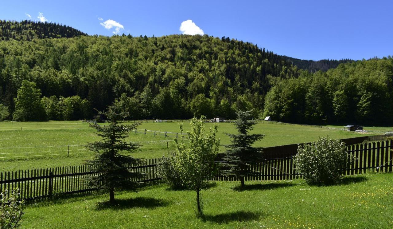 Apartament Rojka Zakopane Buitenkant foto