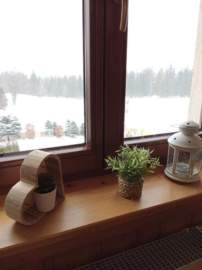 Apartament Rojka Zakopane Buitenkant foto