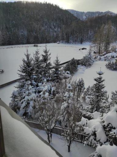 Apartament Rojka Zakopane Buitenkant foto