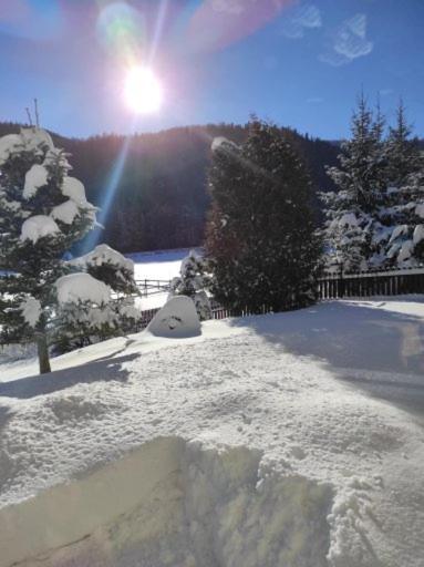 Apartament Rojka Zakopane Buitenkant foto