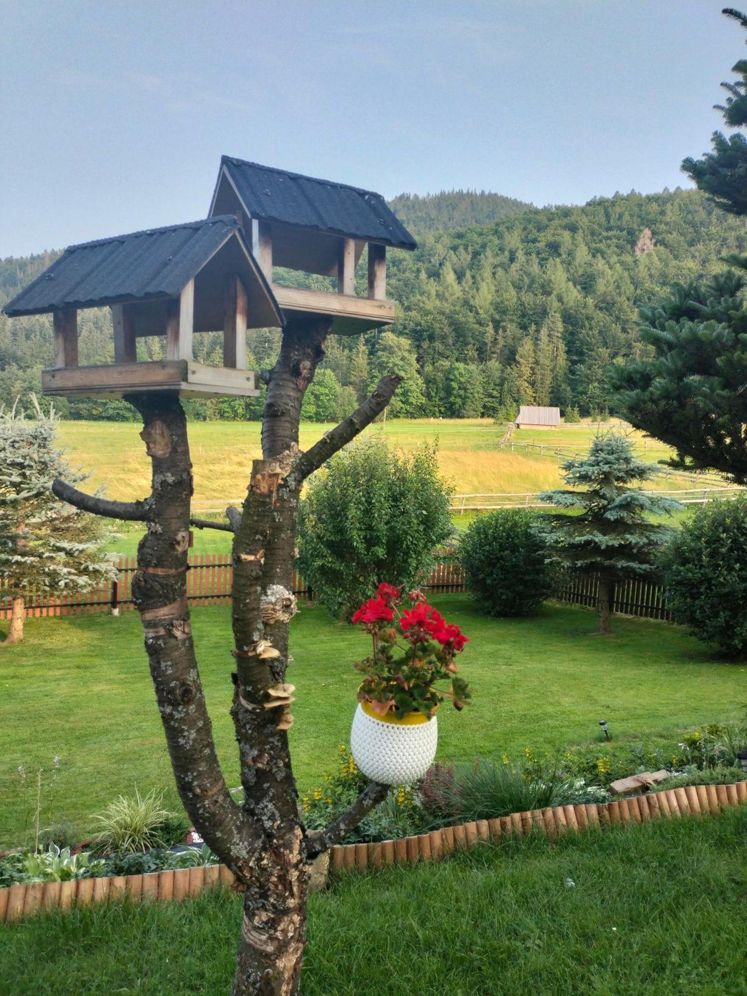 Apartament Rojka Zakopane Buitenkant foto